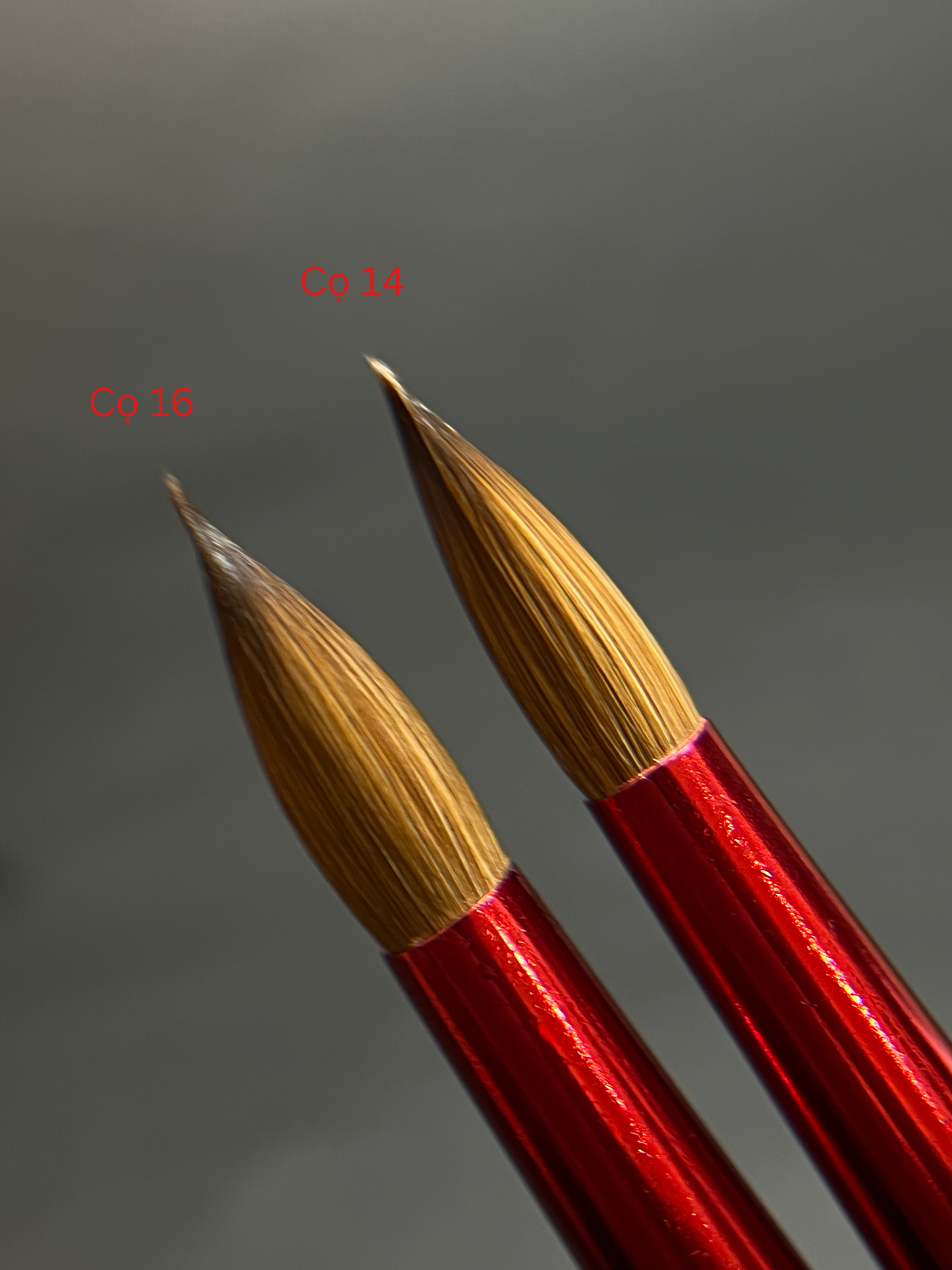 Acrylic Brush Size 14